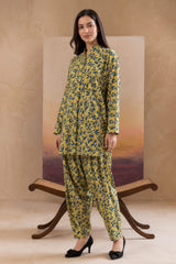 2 Pcs Ladies Suit Des 30