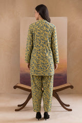 2 Pcs Ladies Suit Des 30