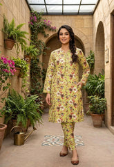 2 Pcs Ladies Suit Des 146