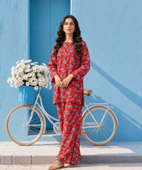 2 Pcs Ladies Suit Des 09