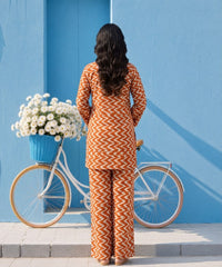 2 Pcs Ladies Suit  Des  14