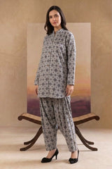 2 Pcs Ladies Suit  Des  19