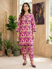 2 Pcs Ladies Suit  Des  50