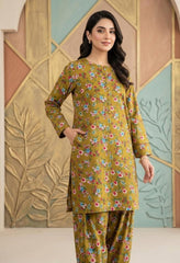 2 Pcs Ladies Suit  Des  144
