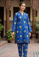 2 Pcs Ladies Suit  Des  147