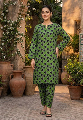 2 Pcs Ladies Suit  Des  158